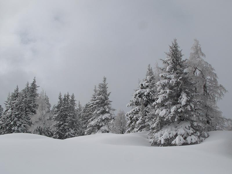 hochmuehleck